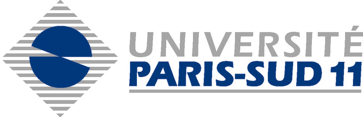 logo P11